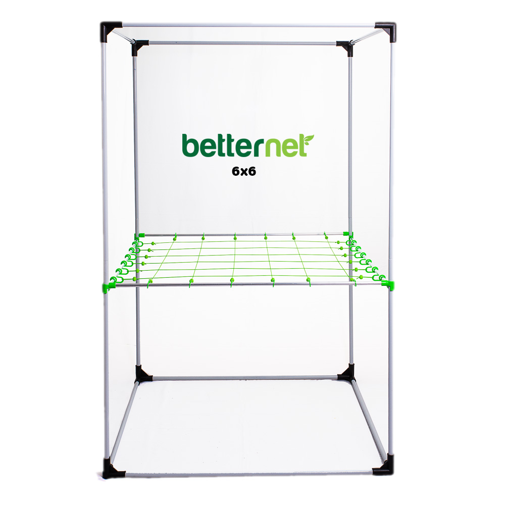 Betternet 6x6 als Produktansicht