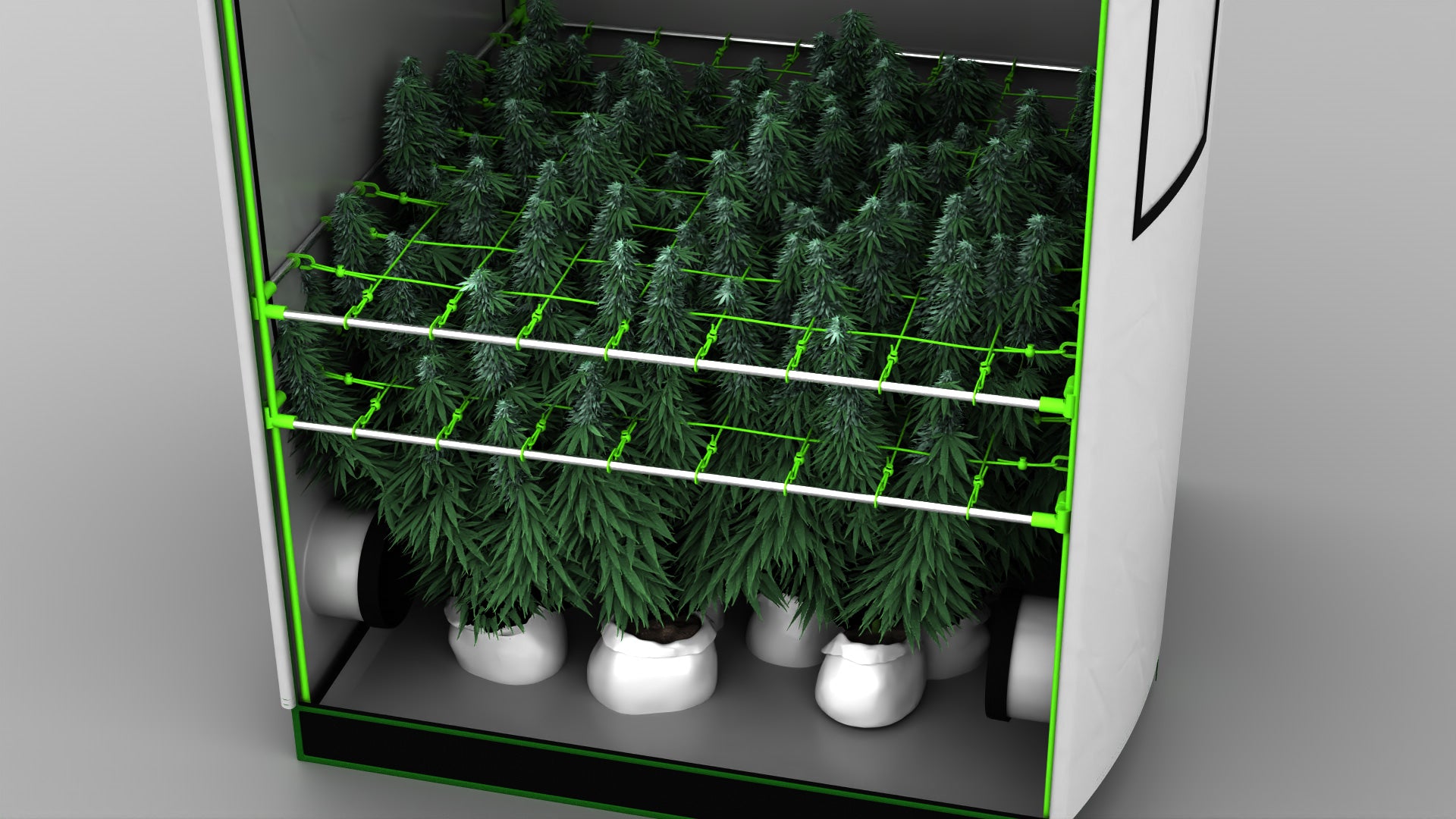 Growber Betternet Double Layer Grow Netz in Betterbox Growbox